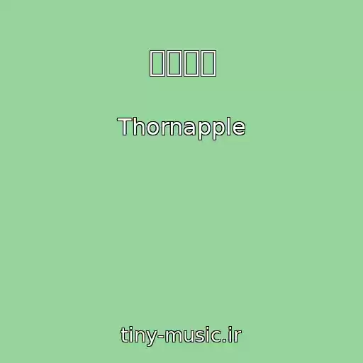 کاور آهنگ 피어나다 از Thornapple