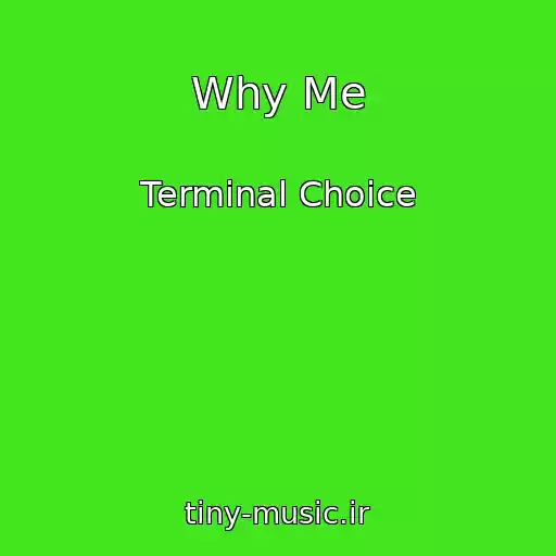 کاور آهنگ Why Me از Terminal Choice