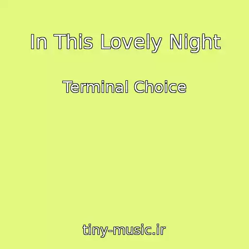 کاور آهنگ In This Lovely Night از Terminal Choice