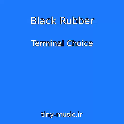 کاور آهنگ Black Rubber از Terminal Choice