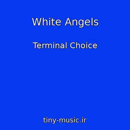 کاور آهنگ White Angels از Terminal Choice