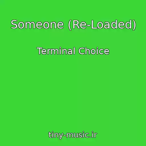 کاور آهنگ Someone (Re-Loaded) از Terminal Choice
