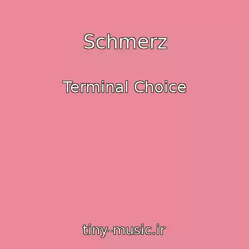 کاور آهنگ Schmerz از Terminal Choice