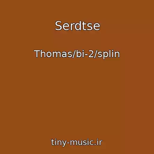 کاور آهنگ Serdtse از Thomas/bi-2/splin