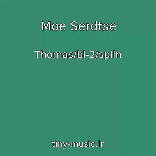 کاور آهنگ Moe Serdtse از Thomas/bi-2/splin