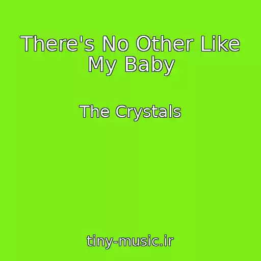 کاور آهنگ There's No Other Like My Baby از The Crystals
