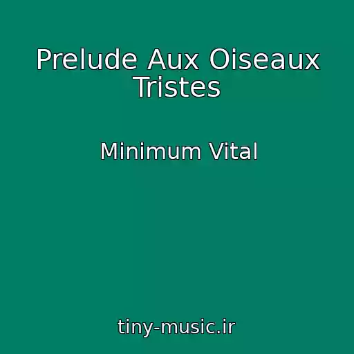 کاور آهنگ Prelude Aux Oiseaux Tristes از Minimum Vital