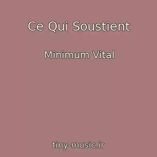 کاور آهنگ Ce Qui Soustient از Minimum Vital