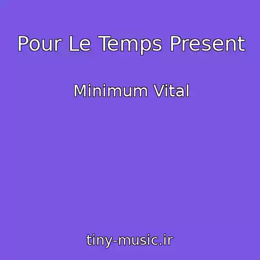 کاور آهنگ Pour Le Temps Present از Minimum Vital