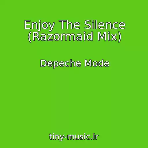کاور آهنگ Enjoy The Silence (Razormaid Mix) از Depeche Mode