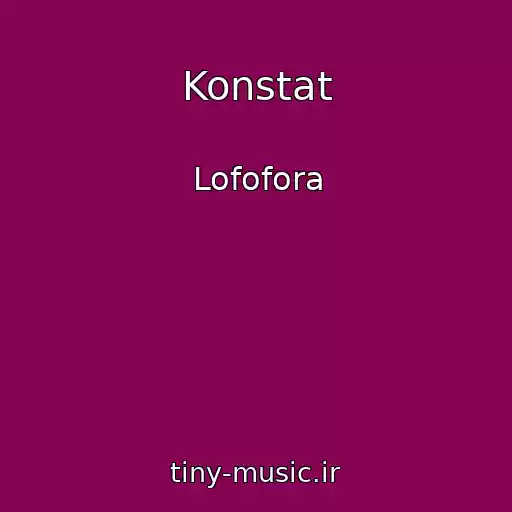 کاور آهنگ Konstat از Lofofora