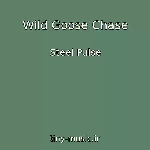 کاور آهنگ Wild Goose Chase از Steel Pulse
