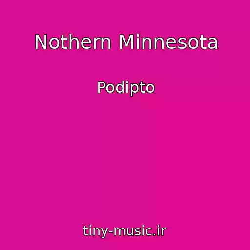 کاور آهنگ Nothern Minnesota از Podipto