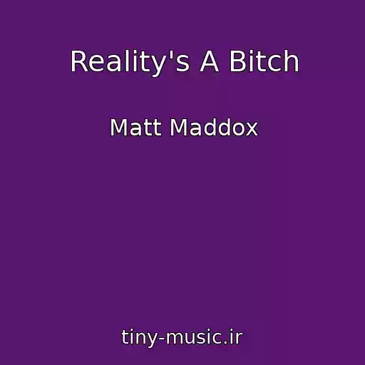 کاور آهنگ Reality's A Bitch از Matt Maddox