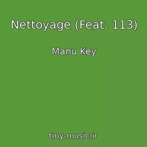 کاور آهنگ Nettoyage (Feat. 113) از Manu Key