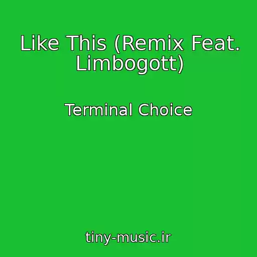 کاور آهنگ Like This (Remix Feat. Limbogott) از Terminal Choice