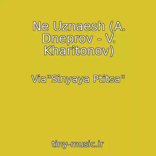 کاور آهنگ Ne Uznaesh (A. Dneprov - V. Kharitonov) از Via"Sinyaya Ptitsa"