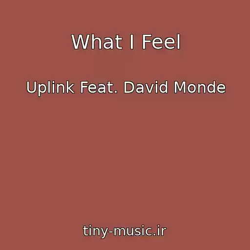 کاور آهنگ What I Feel از Uplink Feat. David Monde