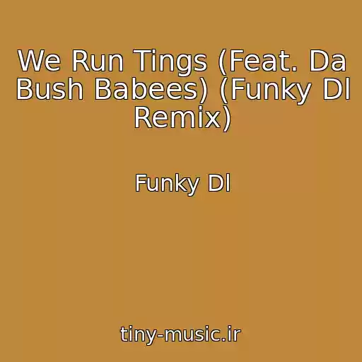 کاور آهنگ We Run Tings (Feat. Da Bush Babees) (Funky Dl Remix) از Funky Dl