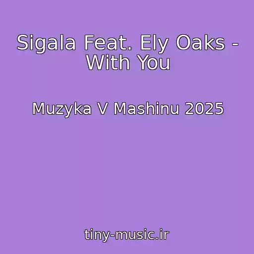 کاور آهنگ Sigala Feat. Ely Oaks - With You از Muzyka V Mashinu 2025