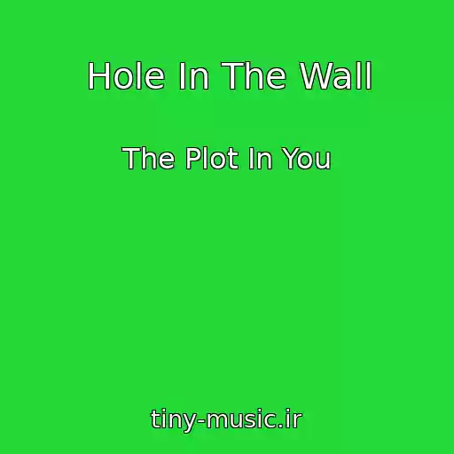 کاور آهنگ Hole In The Wall از The Plot In You