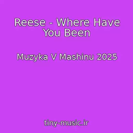 کاور آهنگ Reese - Where Have You Been از Muzyka V Mashinu 2025