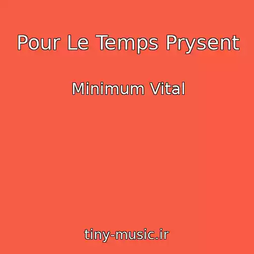 کاور آهنگ Pour Le Temps Prysent از Minimum Vital