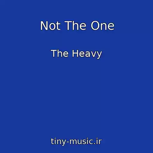 کاور آهنگ Not The One از The Heavy
