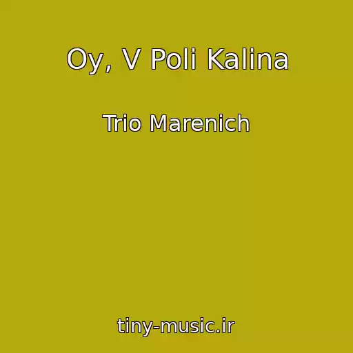 کاور آهنگ Oy, V Polі Kalina از Trіo Marenich