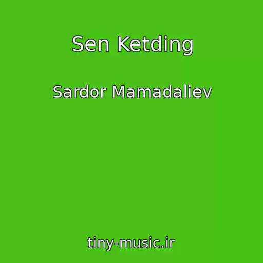 کاور آهنگ Sen Ketding از Sardor Mamadaliev