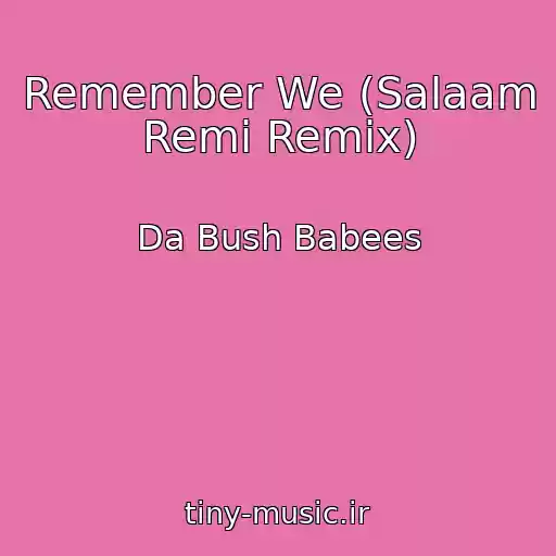 کاور آهنگ Remember We (Salaam Remi Remix) از Da Bush Babees