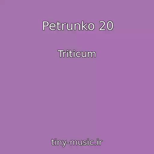 کاور آهنگ Petrunko 20 از Triticum