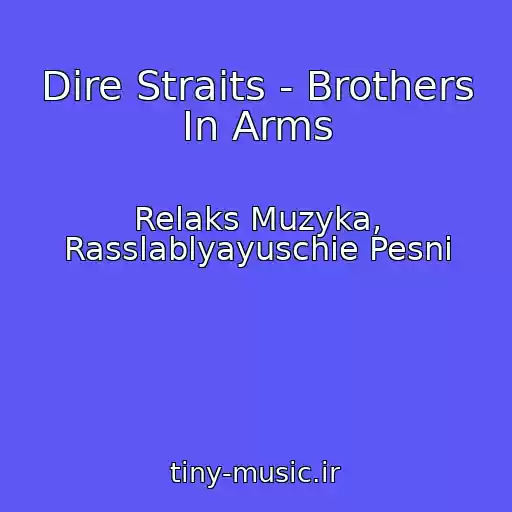 کاور آهنگ Dire Straits - Brothers In Arms از Relaks Muzyka, Rasslablyayuschie Pesni