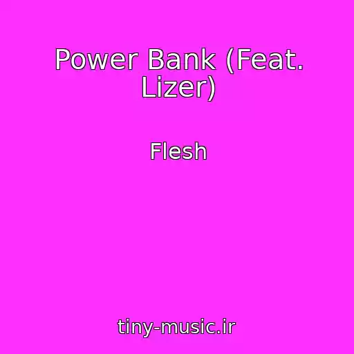 کاور آهنگ Power Bank (Feat. Lizer) از Flesh