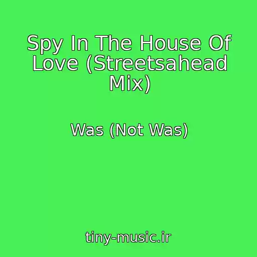 کاور آهنگ Spy In The House Of Love (Streetsahead Mix) از Was (Not Was)