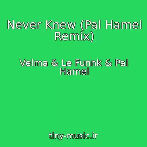 کاور آهنگ Never Knew (Pal Hamel Remix) از Velma & Le Funnk & Pal Hamel