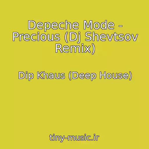 کاور آهنگ Depeche Mode - Precious (Dj Shevtsov Remix) از Dip Khaus (Deep House)