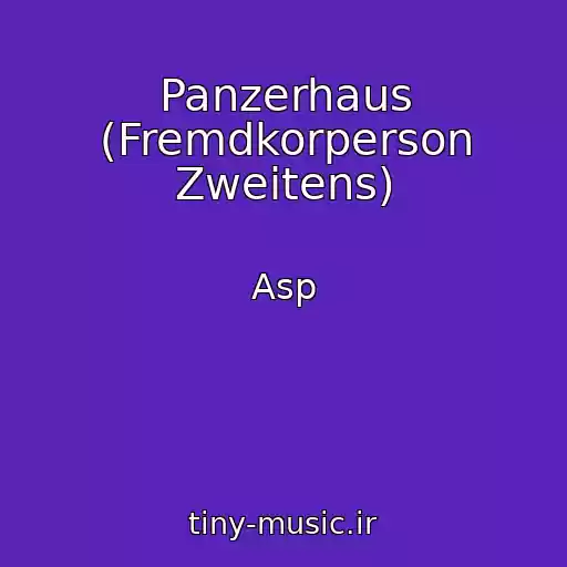 کاور آهنگ Panzerhaus (Fremdkorperson Zweitens) از Asp