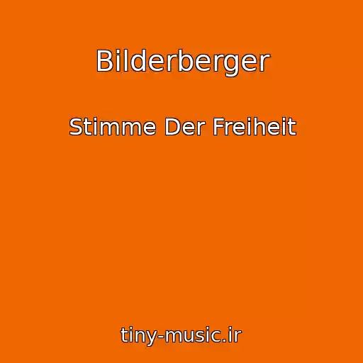 کاور آهنگ Bilderberger از Stimme Der Freiheit