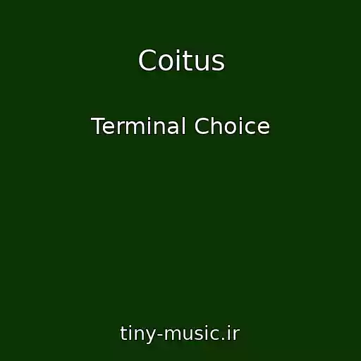 کاور آهنگ Coitus از Terminal Choice