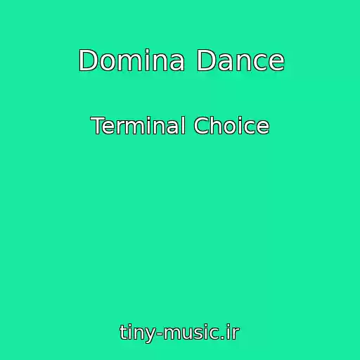 کاور آهنگ Domina Dance از Terminal Choice