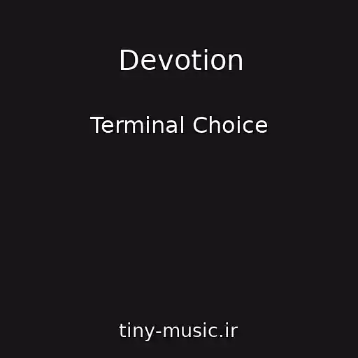 کاور آهنگ Devotion از Terminal Choice