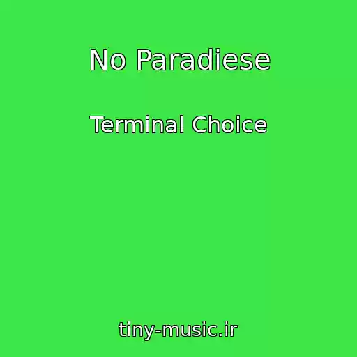 کاور آهنگ No Paradiese از Terminal Choice