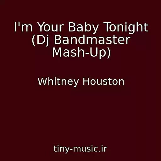 کاور آهنگ I'm Your Baby Tonight (Dj Bandmaster Mash-Up) از Whitney Houston