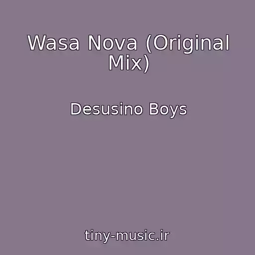 کاور آهنگ Wasa Nova (Original Mix) از Desusino Boys