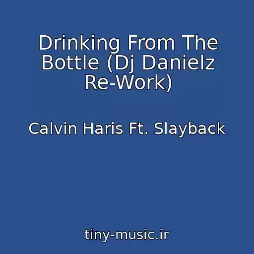 کاور آهنگ Drinking From The Bottle (Dj Danielz Re-Work) از Calvin Haris Ft. Slayback