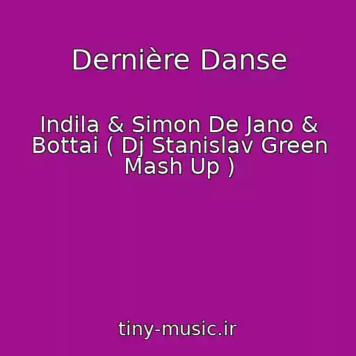 کاور آهنگ Dernière Danse از Indila & Simon De Jano & Bottai ( Dj Stanislav Green Mash Up )