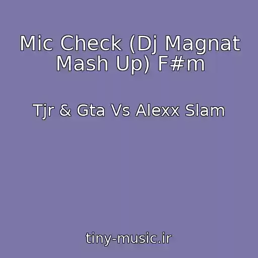 کاور آهنگ Mic Check (Dj Magnat Mash Up) F#m از Tjr & Gta Vs Alexx Slam