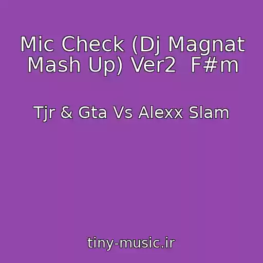 کاور آهنگ Mic Check (Dj Magnat Mash Up) Ver2  F#m از Tjr & Gta Vs Alexx Slam