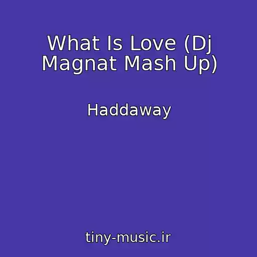 کاور آهنگ What Is Love (Dj Magnat Mash Up) از Haddaway